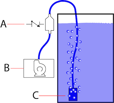 Installation simple d'une pompe à air d'aquarium (B) et d'un clapet anti-retour (A). Le dispositif dans l'eau (C) pourrait être un filtre éponge ou une pierre à air.