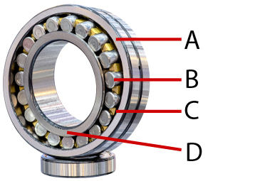 De belangrijkste onderdelen van een tweerijige tonlager: buitenring (A), rol (B), kooi (C) en binnenring (D).