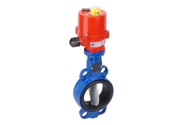 An electric butterfly valve