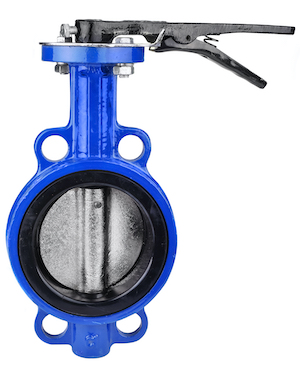 A cast iron butterfly valve