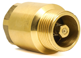 thumbnail interactive-video image 1 of UNITED BRASS WORKS 1" Spring Loaded Industrial Check Valve With PTFE Disc – 50T, Made In USA 1 of 2
