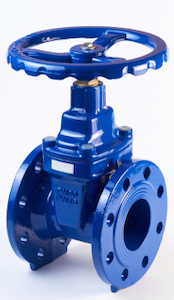 Cast iron gate valve