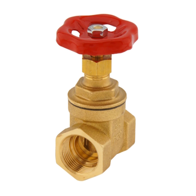 A brass gate valve