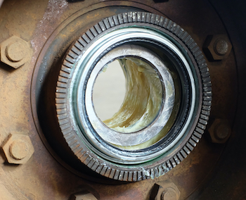 Applying grease on a wheel bearing