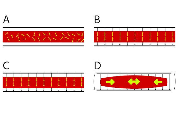 The ceramic actuator (A) is permanently polarized when it's in a strong electric field (B) and maintains this polarization when the electric field turns off (C). When voltage is applied, the ceramic material deforms among the field lines (D).