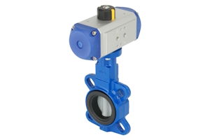 A pneumatic butterfly valve