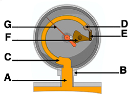 Figure 2 : Le tube de Bourdon : tuyau d'entrée (A), bloc de prise (B), extrémité fixe du tube de Bourdon (C), extrémité mobile du tube de Bourdon (D), pivot et axe de pivot (E), secteur denté (F), aiguille indicatrice (G)