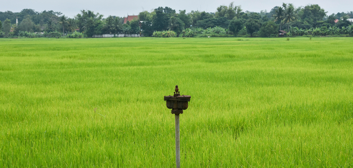 Pressure relief valve installed in an irrigation pipeline.