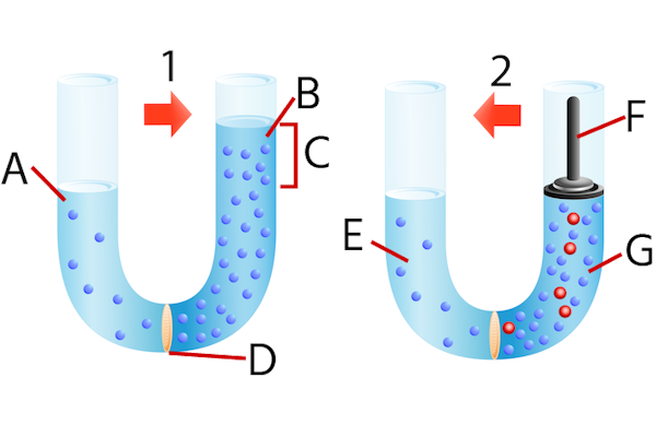 Osmosis and reverse osmosis