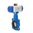 Pneumatic